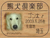 �S�����}�}����̂g�o�ւf�n�I